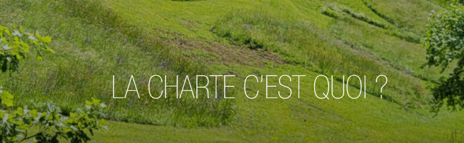La charte c'est quoi ?