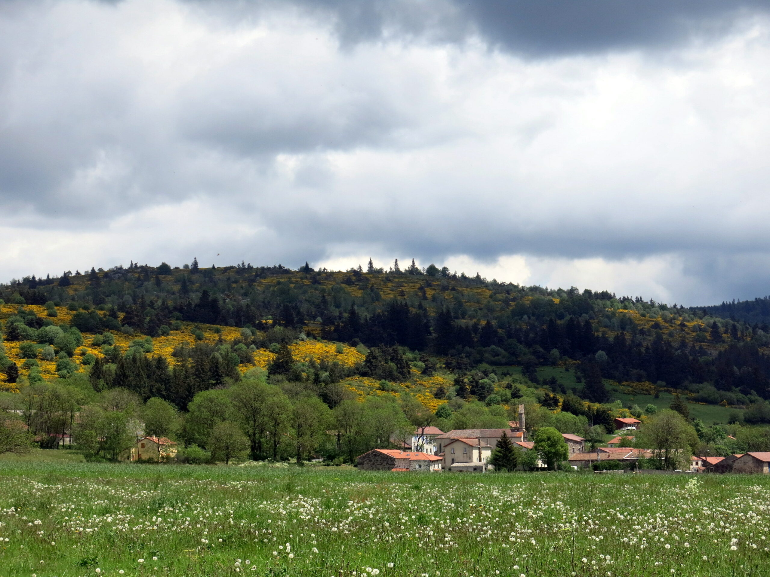 le plagnal
